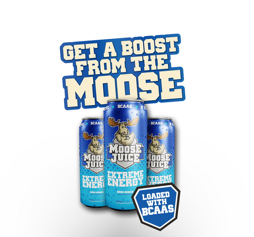 Muscle Moose Juice BCAA 12x500ml