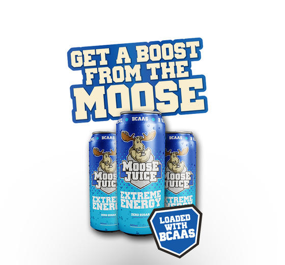 Muscle Moose Juice BCAA 12x500ml